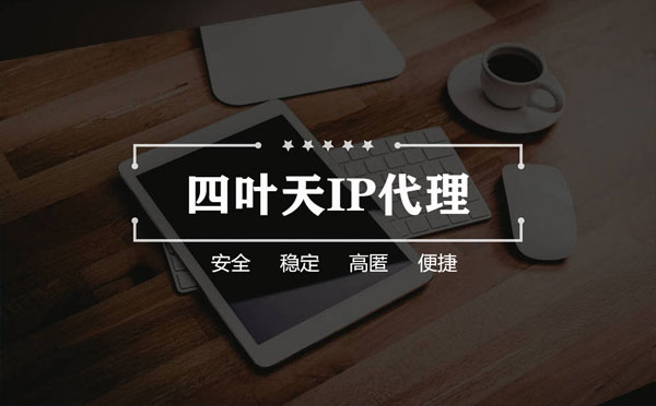 【平凉代理IP】如何快速搭建代理IP？怎么检查代理的效果？